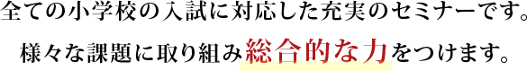 全ての小学校の入試に対応した充実のセミナーです。様々な課題に取り組み総合的な力をつけます。